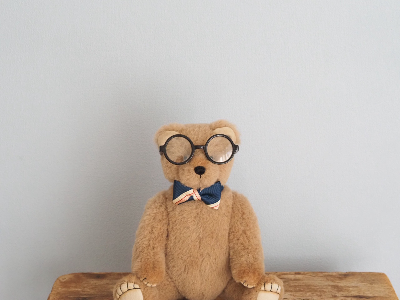 ciel étoilé  オリジナル Standard size teddy bear beige 正面向き　テディベア