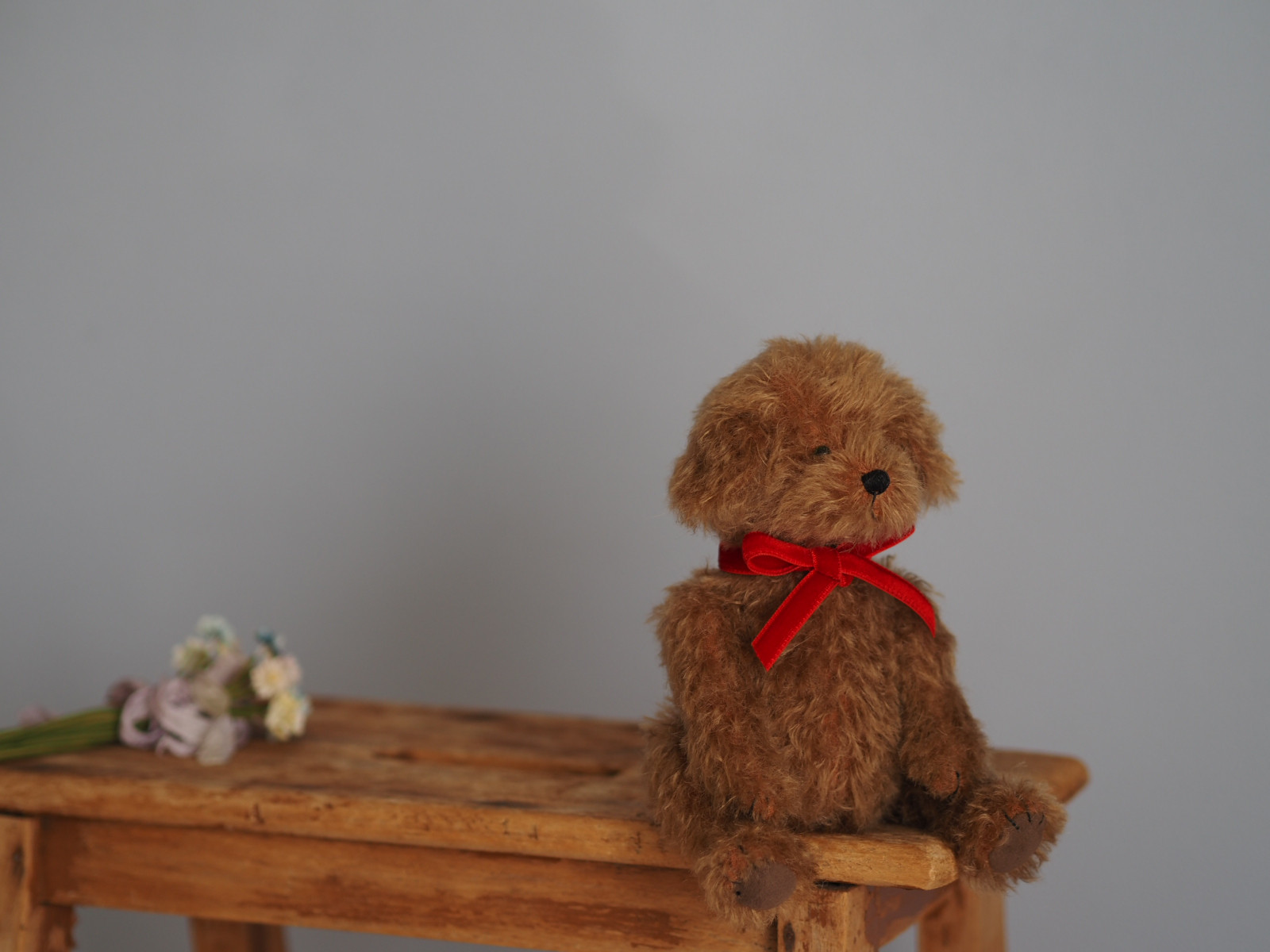 ciel étoilé オリジナル Standard size toy poodle トイプードル ciel étoilé オリジナル Standard size toy poodle トイプードル