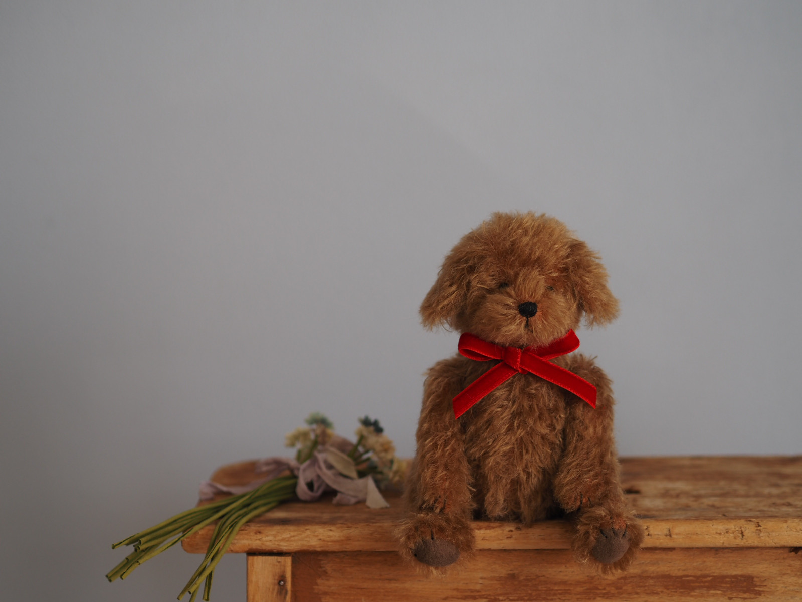 ciel étoilé オリジナル Standard size toy poodle トイプードル ciel étoilé オリジナル Standard size toy poodle トイプードル