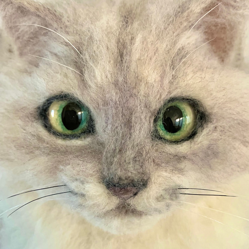 オーダー うちの子 羊毛フェルト フレーム 猫 枠猫 額縁 リアル