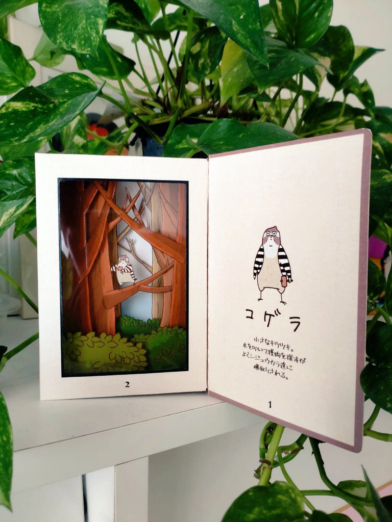 ブックボックス(コゲラ)