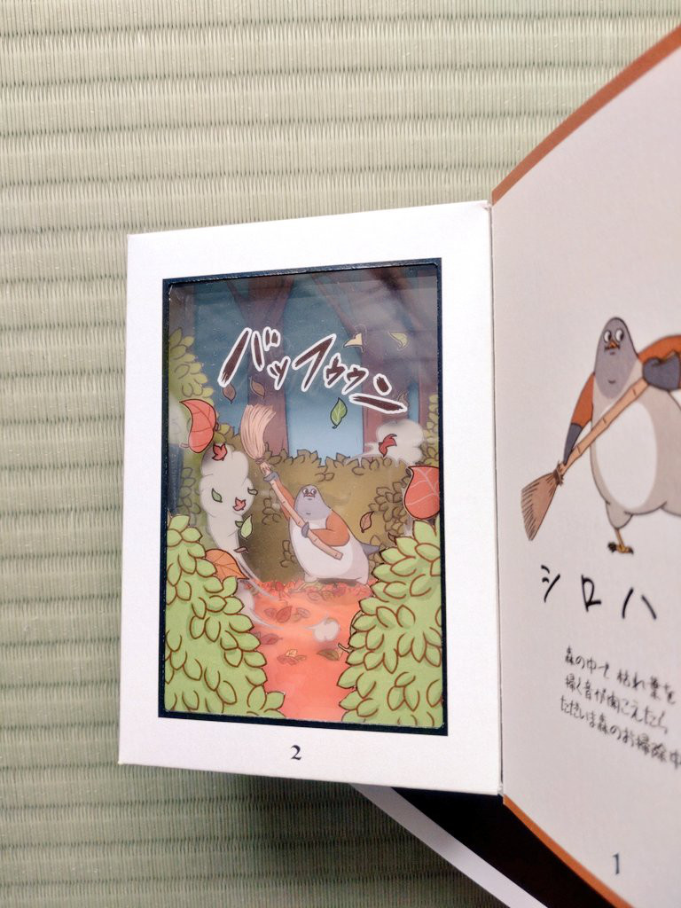 ブックボックス(シロハラ)