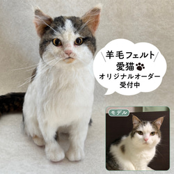 羊毛フェルト【オーダーメイド】うちの子オーダー✴︎ネコ＊ねこ