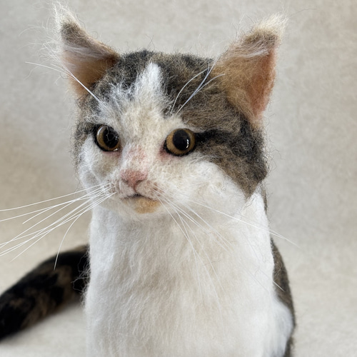 羊毛フェルト ねこちゃん お写真から制作 かわいい おもかげ