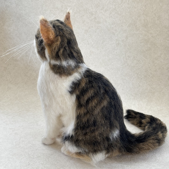 羊毛フェルト【オーダーメイド】うちの子オーダー✴︎ネコ＊ねこ＊猫＊ペット*ハンドメイド✴︎ペットロスペットロス 5枚目の画像