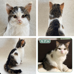 羊毛フェルト【オーダーメイド】うちの子オーダー✴︎ネコ＊ねこ＊猫＊ペット*ハンドメイド✴︎ペットロスペットロス 2枚目の画像