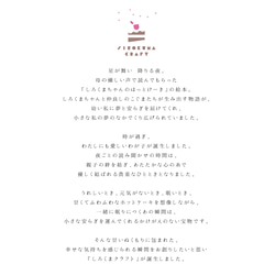  第17張的照片