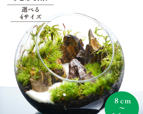 ed5ca13cba7fcd959c5776566592ed