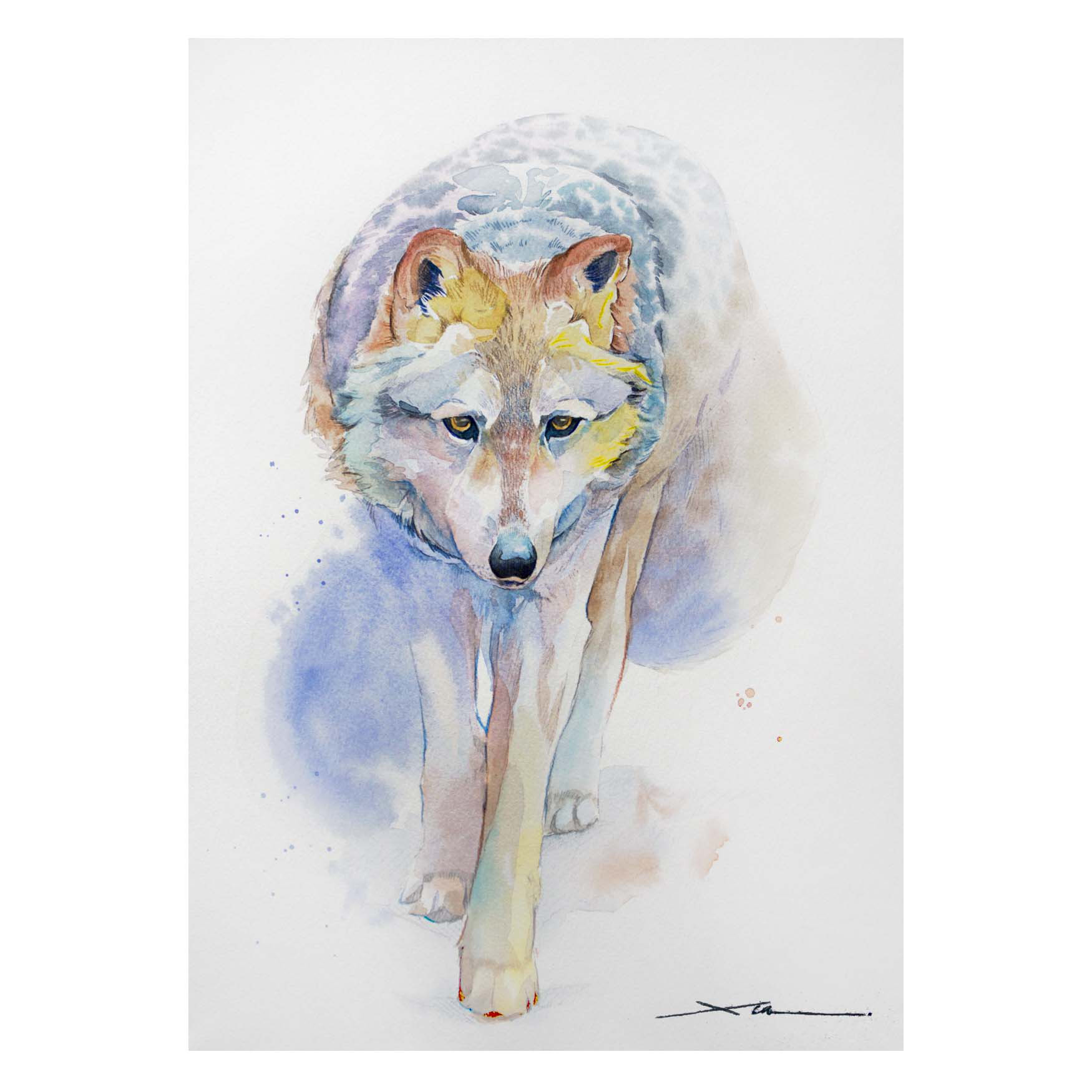 オオカミ_水彩原画_イラスト