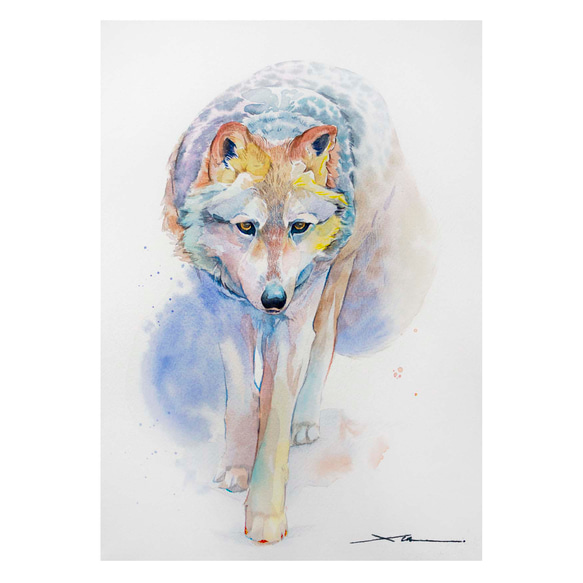 オオカミ_水彩原画_イラスト イラスト n.akabae 通販 18793339｜Creema