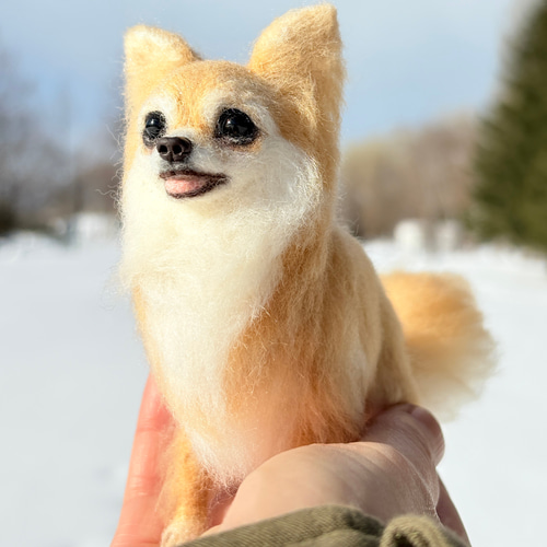 チワワ　羊毛フェルト　3点セット　ハンドメイド　レッド　クリーム　置物 柴犬 チワワ ミニチュアダックスフント 手作りキット 犬3体
