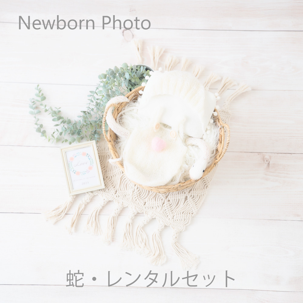 【レンタル】『白蛇』ニューボーンフォトセット(カゴ、床、装飾、衣装など)② 4,320円