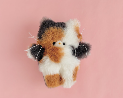 5fc880819e7577f079ce4c6a214f1e