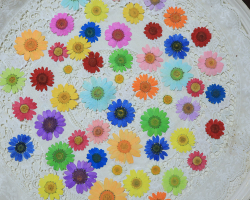 e554572d2484cc0549a8c76136e170