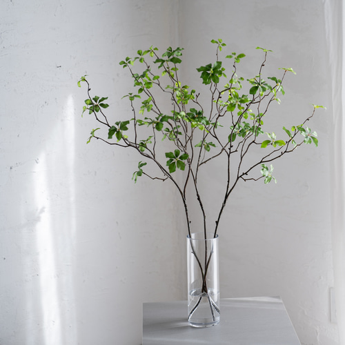 切り枝ドウダンツツジ 中型【3本枝挿し】どうだんつつじ アート