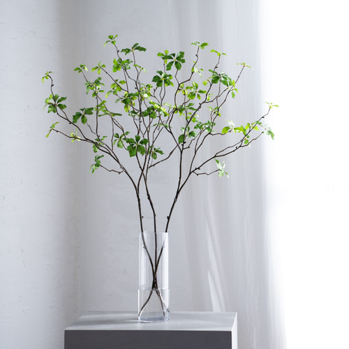 切り枝ドウダンツツジ 中型【3本枝挿し】どうだんつつじ アート