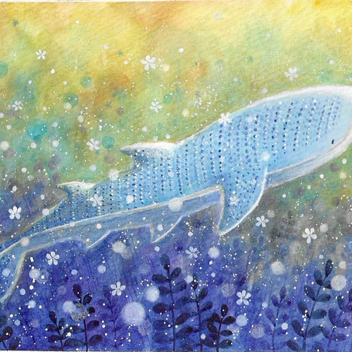 海底で【ジンベエザメ】 絵画 kuro 通販 18797414｜Creema(クリーマ)