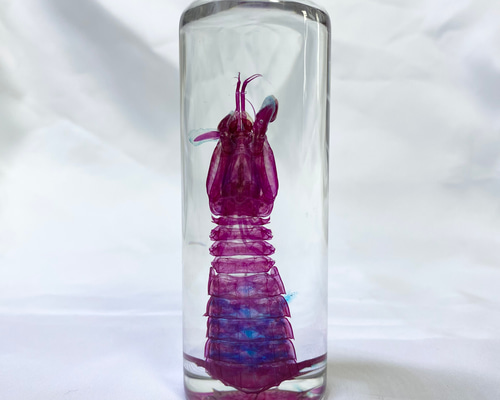 ddb71cb880fd0748e1cfe4402b94a3