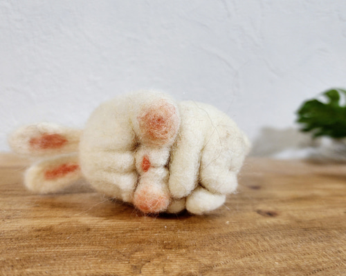 dded4f18aab9485c0947f918886dbd