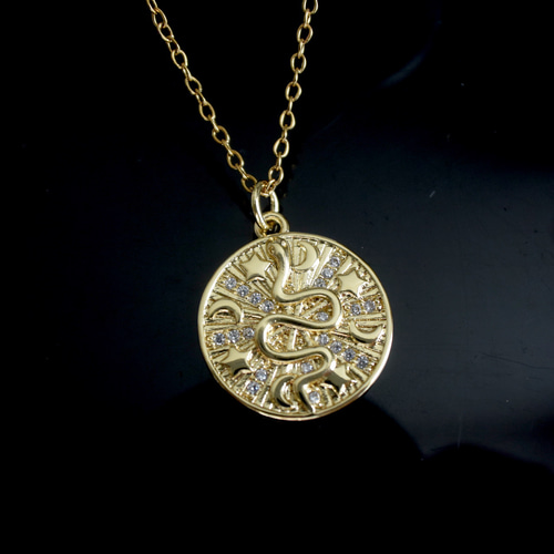 2025干支 巳年ヘビと夜空のコインネックレス ステンレスチェーン