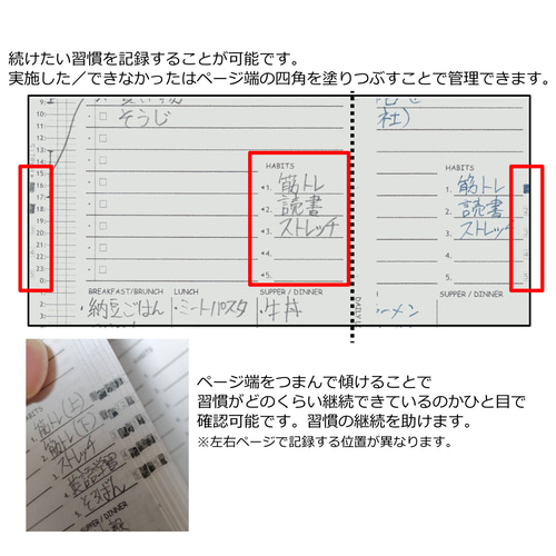 ミニ6 1日1ページ システム手帳リフィル M6 Mini6 ミニ6穴 デイリー