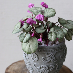 1c81a9891a3ab08b5aa422d58450ee