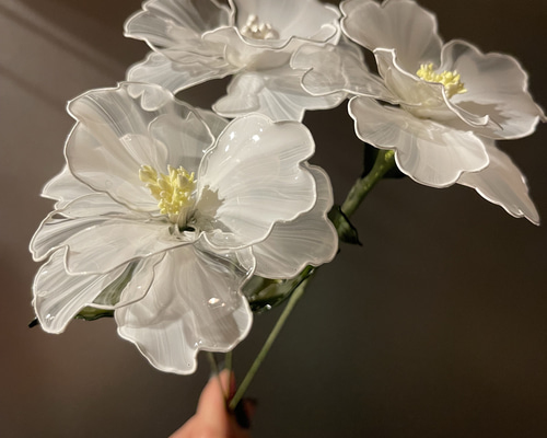 cde8874e717c3bf8441b458e02c888