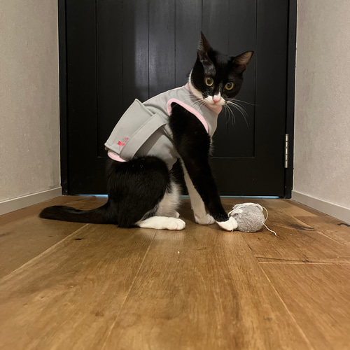 猫の介護服CARETECT® S/M/Lサイズ ペット服・アクセサリー 猫の介護服