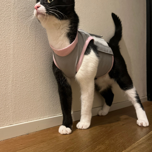 猫の介護服CARETECT® S/M/Lサイズ ペット服・アクセサリー 猫の介護服