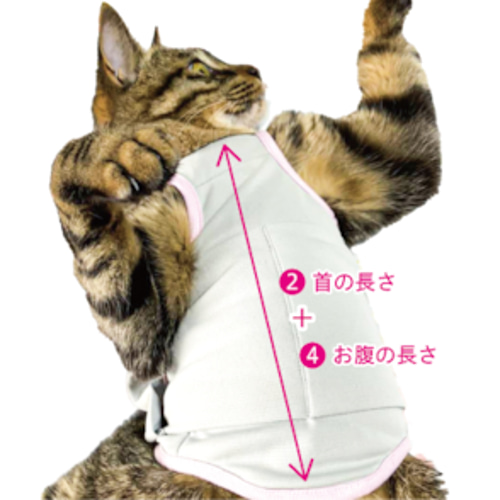 猫の介護服CARETECT® S/M/Lサイズ ペット服・アクセサリー 猫の介護服