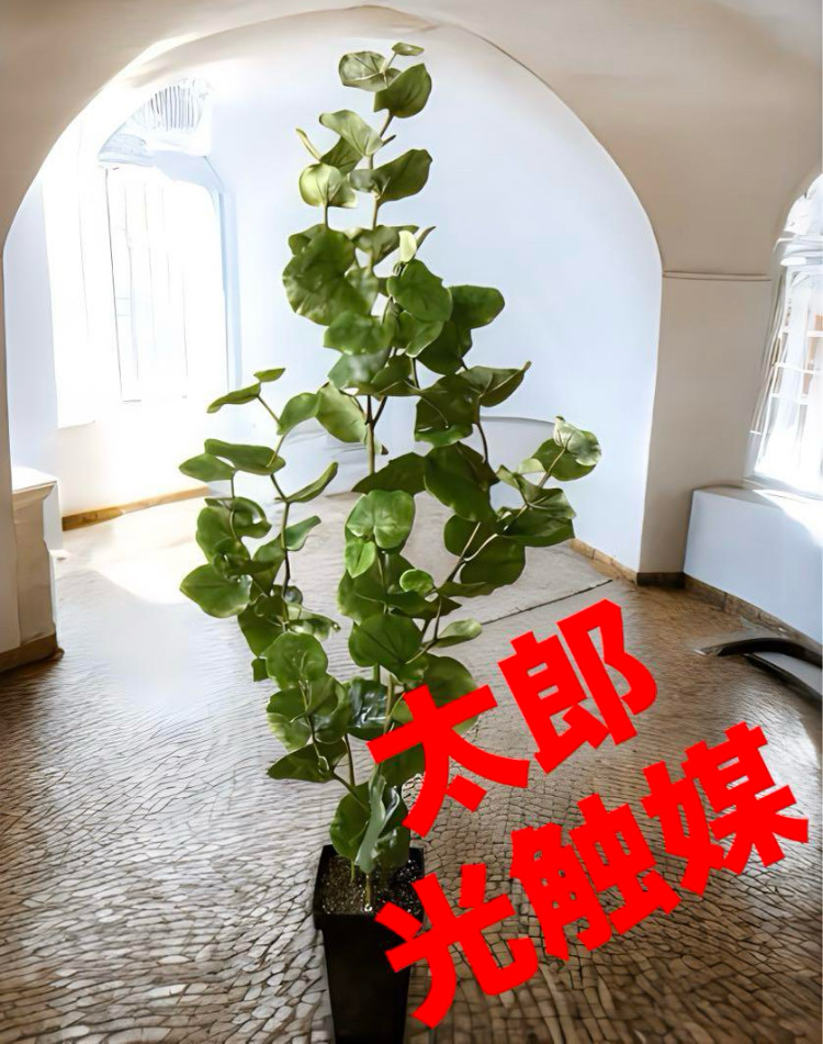 光触媒　人工観葉植物　ウォールグリーン　フェイクグリーン　シーグレープ4本立ち