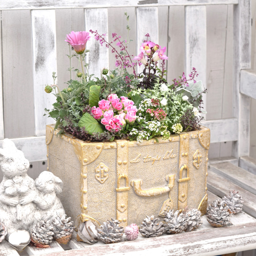 1点限り】ピンク×シルバーのふんわり豪華寄せ植え ※完成品 鉢花 寄せ