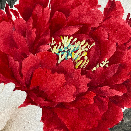 牡丹 水墨画 紅白牡丹 春 インテリア 絵画 こたつ 通販 18804301