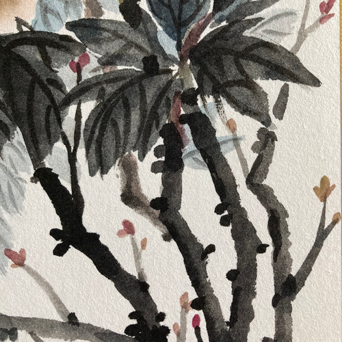 牡丹 水墨画 紅白牡丹 春 インテリア 絵画 こたつ 通販 18804301