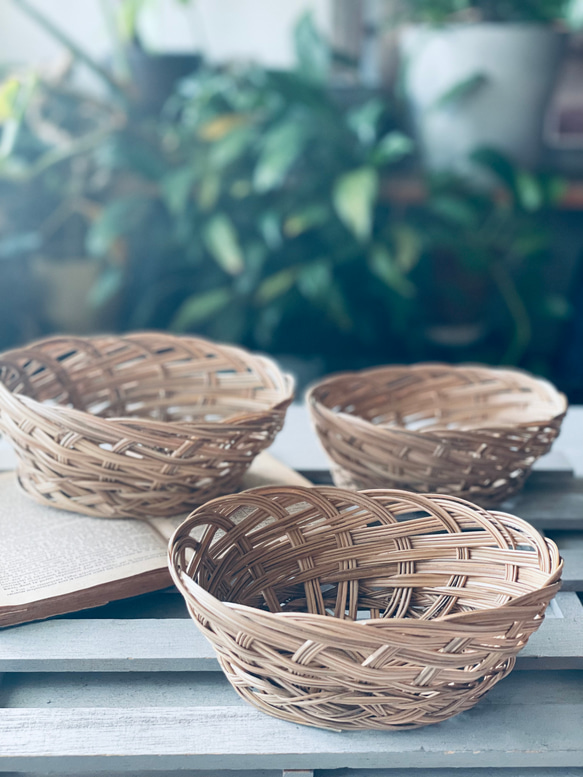 2色から選ぶ胡蝶蘭ローズバスケット　開店祝い　結婚祝い　プリザーブドフラワー　退職祝い　ピンク　オレンジ お誕生日 8枚目の画像