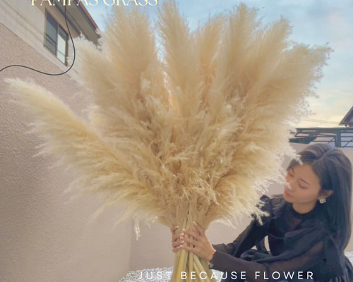 7ddbe3dff758565133d59b82933599