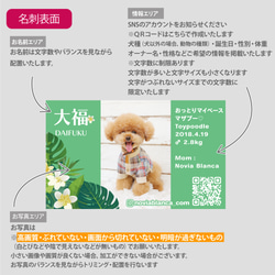 【受注後制作】背景色を選べる ペット名刺 『両面版』 50枚 プルメリア no.01 9枚目の画像