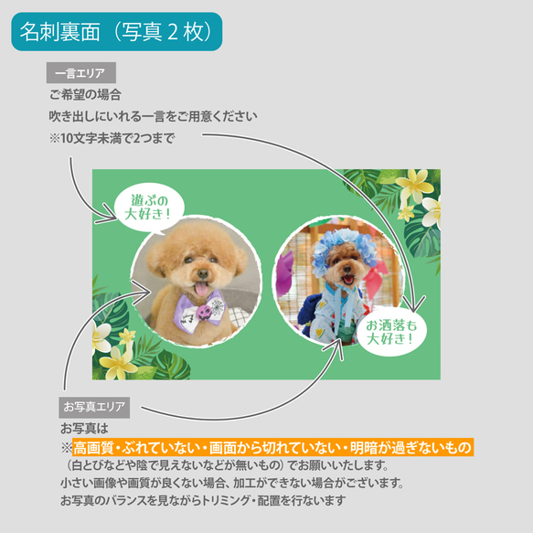 【受注後制作】背景色を選べる ペット名刺 『両面版』 50枚 プルメリア no.01 10枚目の画像