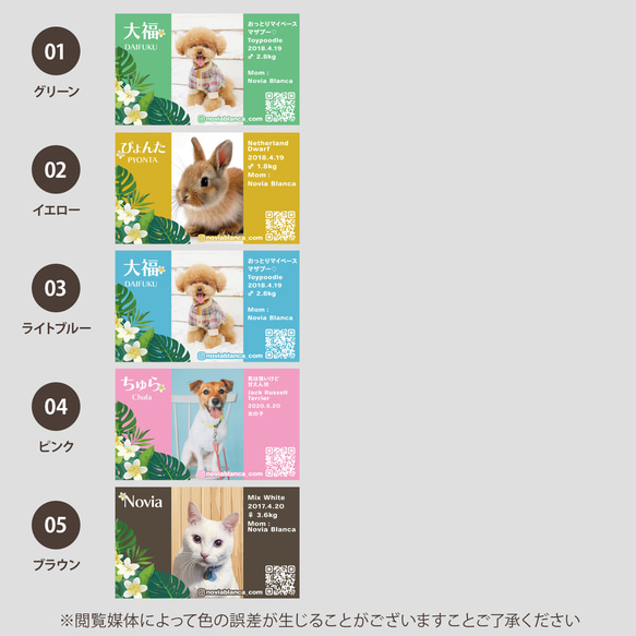 【受注後制作】背景色を選べる ペット名刺 『両面版』 50枚 プルメリア no.01 7枚目の画像