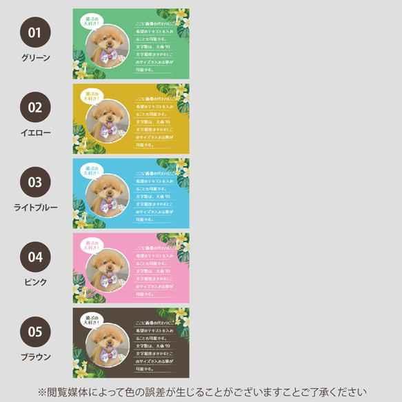 【受注後制作】背景色を選べる ペット名刺 『両面版』 50枚 プルメリア no.01 8枚目の画像