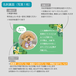 【受注後制作】背景色を選べる ペット名刺 『両面版』 50枚 プルメリア no.01 11枚目の画像