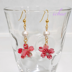 在庫セール☆14kgfフック交換可♪桜×コットンパールの春色ピアス／イヤリング 4枚目の画像