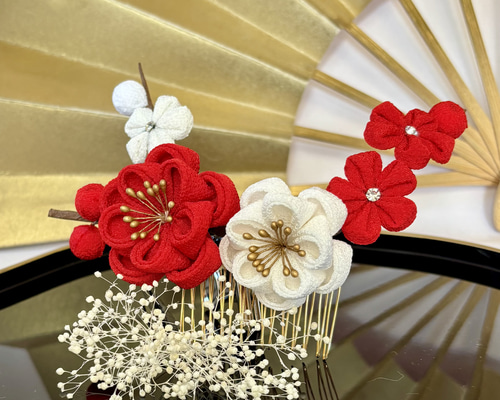 154303f153cd2ef1108166c76551f9