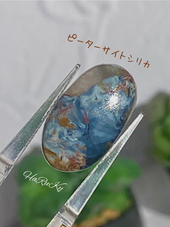天然石　角閃石　ピーターサイト　鳥文様　ハシビロコウ　希少 ピーターサイトシリカ・ピーターサイト in クォーツ 13 天然石