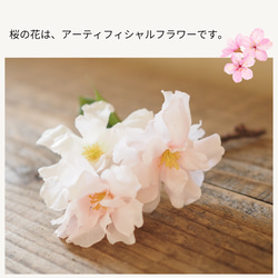 桜、ふわり 8枚目の画像