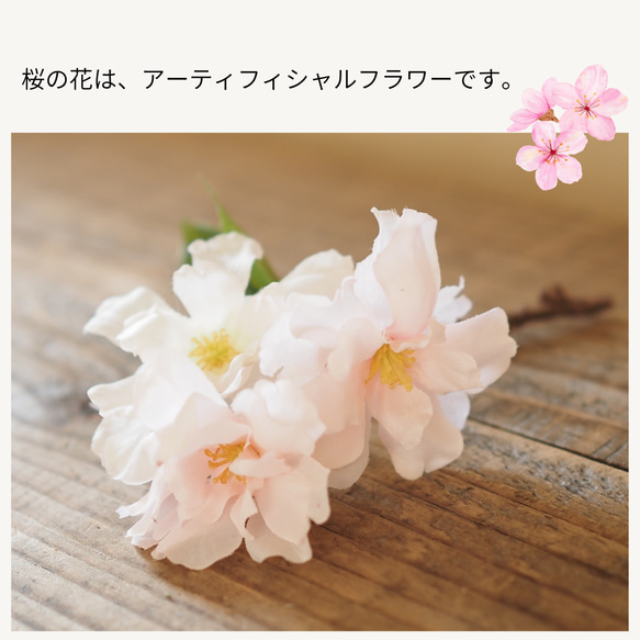桜、ふわり 8枚目の画像