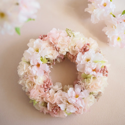 桜、ふわり 2枚目の画像