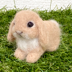 ❤豆柴❤️唐草風呂敷❤羊毛フェルト❤️ Yahoo!オークション - 羊毛フェルト 豆柴 柴犬 犬 ハンドメイド 芝生