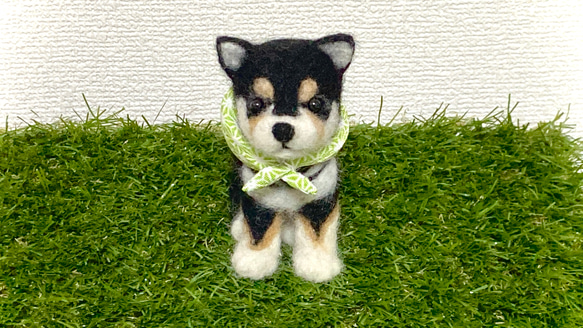 羊毛フェルト 黒柴犬 フレーム付き 羊毛フェルト 黒柴さん 羊毛フェルト 羊毛わんこ 福や工房 通販