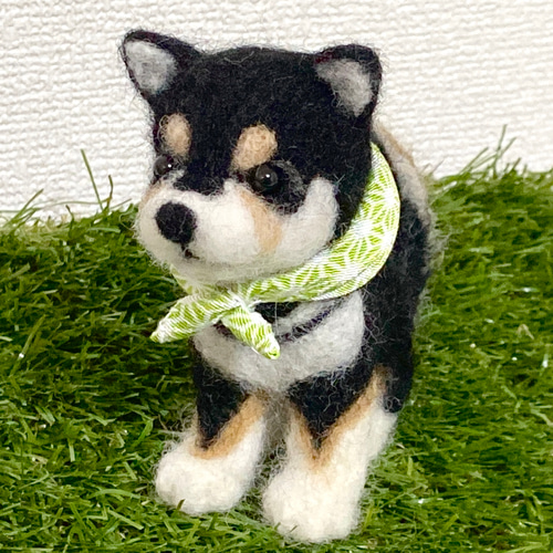 現品限り】豆柴(黒)風呂敷付き 羊毛フェルト マスコット ぬいぐるみ